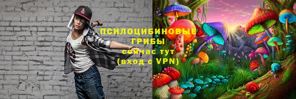 a pvp Няндома