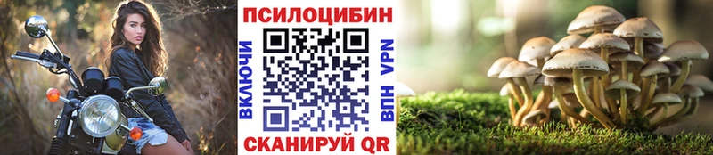 Псилоцибиновые грибы прущие грибы  купить наркотик  Боровск 